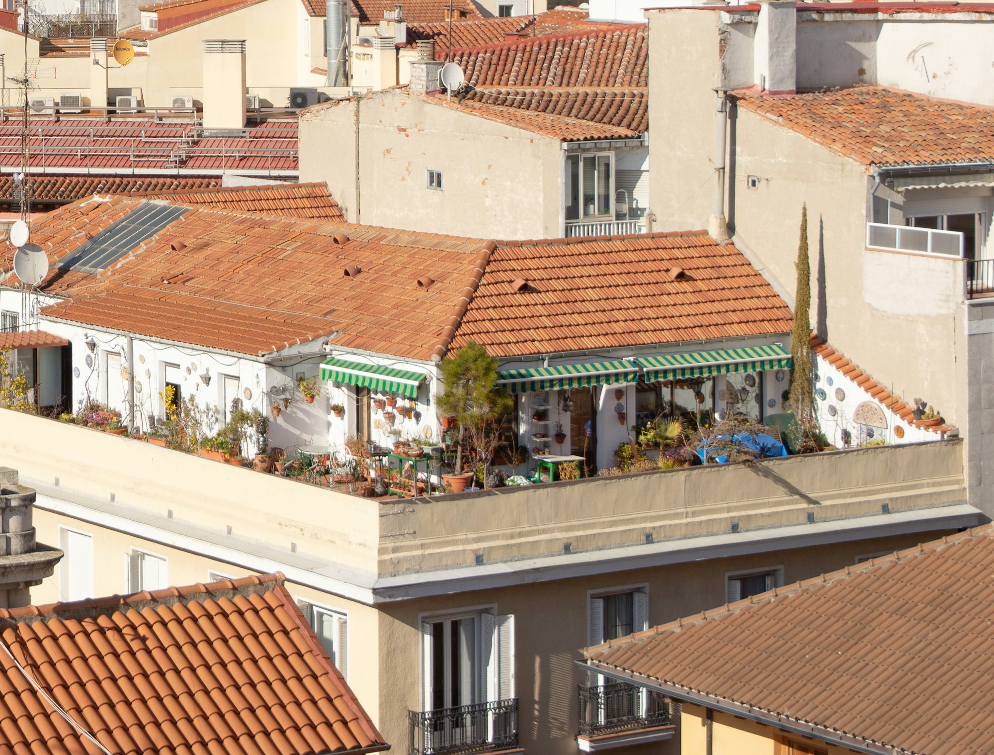 Terraza ajardinada sobre los tejados de Madrid